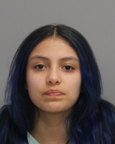 PRADO, JULIA AVILES arrested by Bryan Police Department