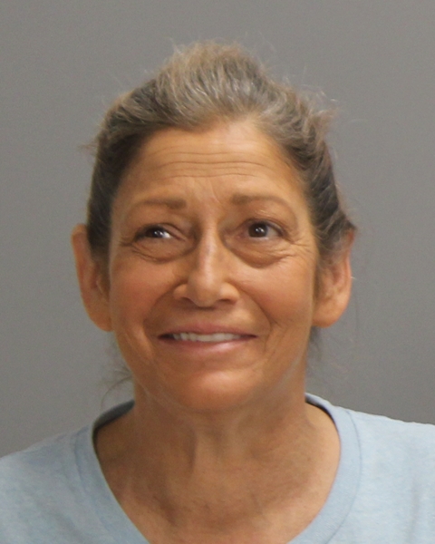 ZYSK, DANIELLE ELIZABETH arrested by Brazos County Sheriff’s Office