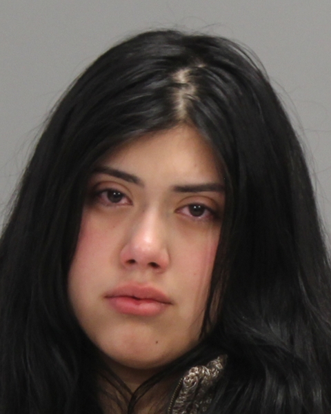 DE LA CRUZ, ELENA ARELI arrested by College Station Police Department