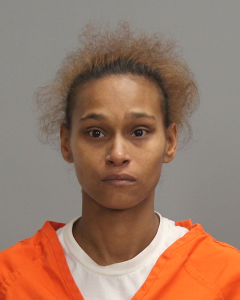 PINEDA, LISA MARIE arrested by Bryan Police Department