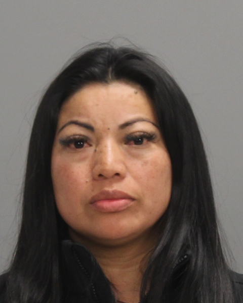 GONZALEZ GARCIA, ROSA OLIVIA arrested by Immigration and Customs Enforcement