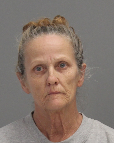CAREY, MELISSA DIANNE arrested by Brazos County Sheriff’s Office