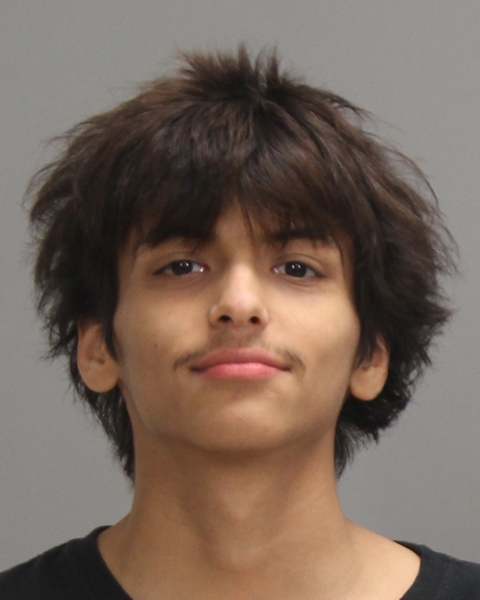 CAPELO, RORY DYLAN booking photo