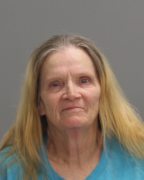 WADE, DAWN MICHELE arrested by Brazos County Sheriff’s Office