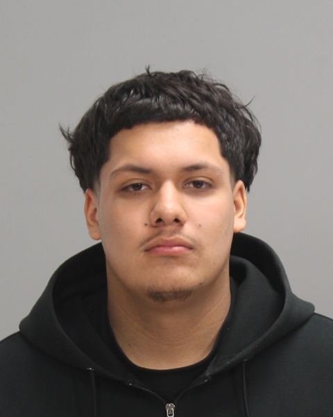 ROMAN, GABRIEL ELIAS arrested by College Station Police Department
