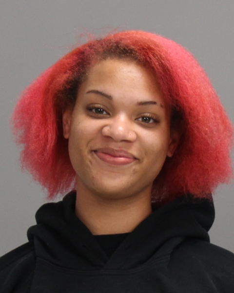 ROGERS, ALAINA ELIZABETH booking photo