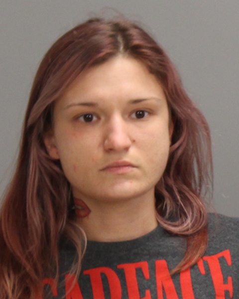 SHEPPEARD, MAGAN DANIELLE booking photo