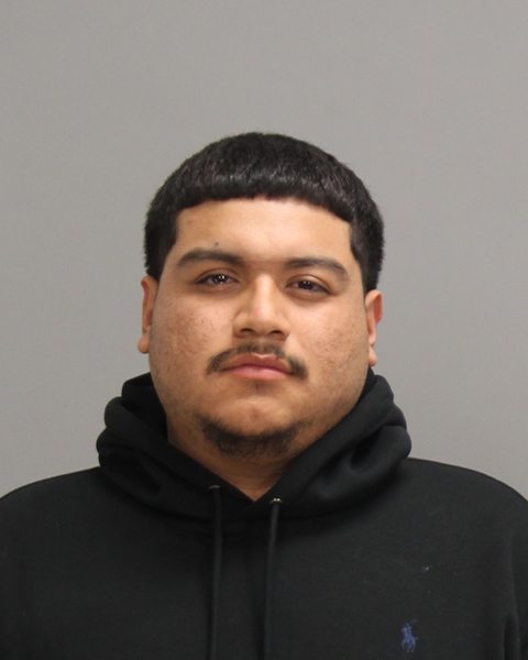 CHAVEZ, HECTOR ORTIZ booking photo