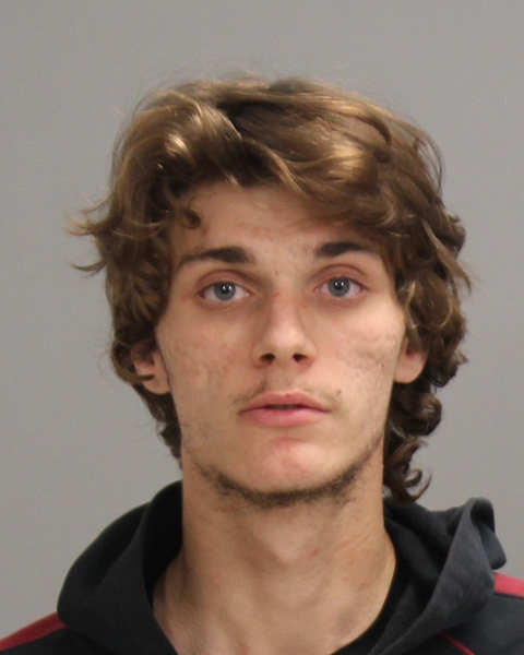 SHOLDERS, AUSTIN GARRETT booking photo