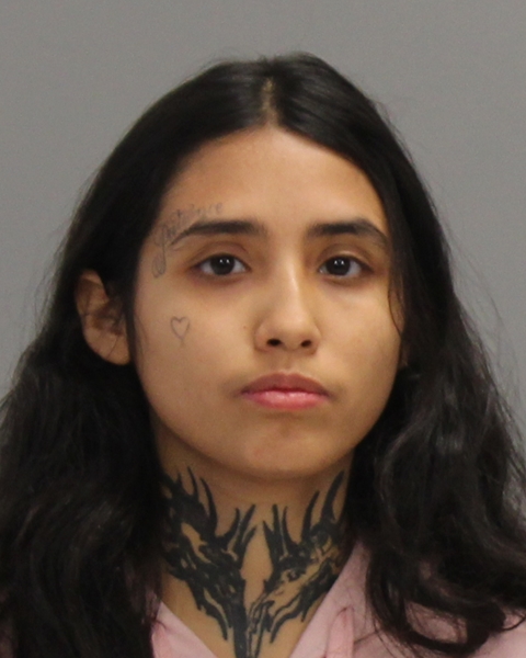 LONGORIA, GISELLE MELANIE arrested by College Station Police Department