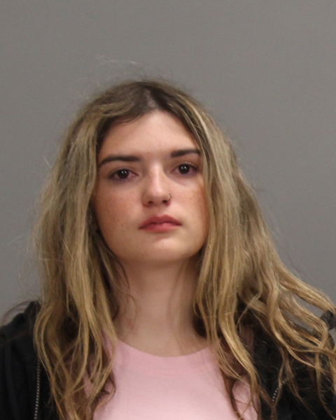 VENABLE, MCKENZIE LAINE booking photo