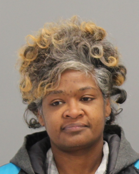 WILLIAMS, ROSALYNN ELIZABETH booking photo