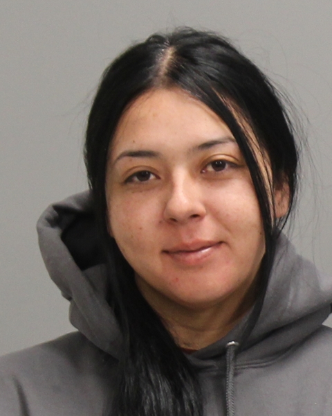 PEREZ-LUCIO, CASANDRA NEREYDA booking photo