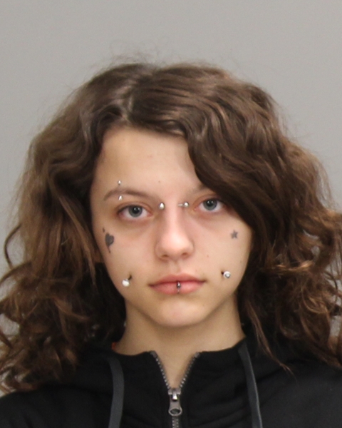 PERKINS, SAMARIAH MARCYA booking photo