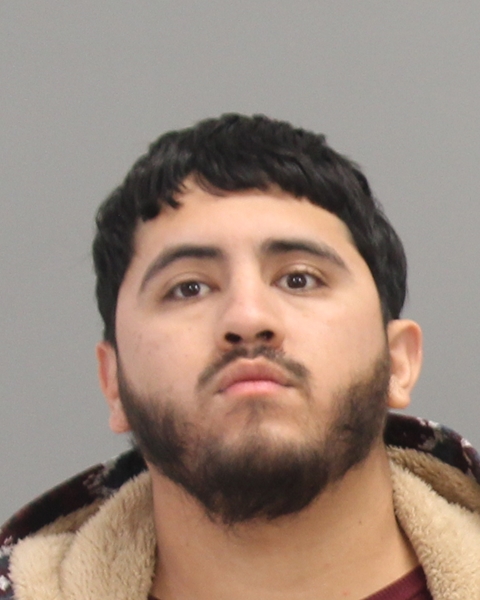 BAHENA, ROGELIO ANTONIO booking photo