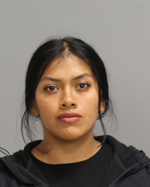 ALVARADO, EMELY BALVINA arrested by Brazos County Sheriff’s Office