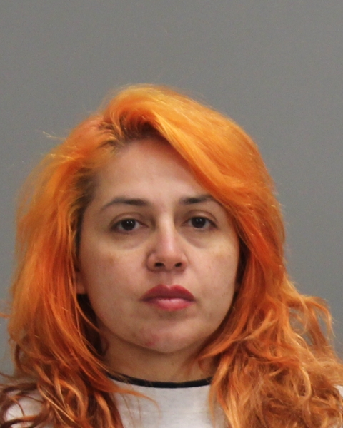 LOPEZ, MELINDA LISA booking photo