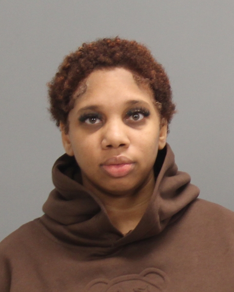 BORGOS, JANAE Mary Ann booking photo