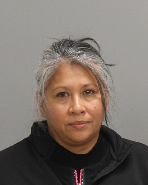 SUAREZ, SYLVIA MARIE booking photo