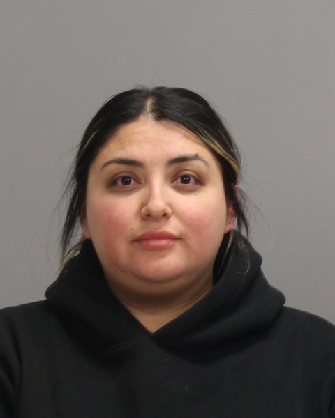ORTIZ, GABRIELA booking photo
