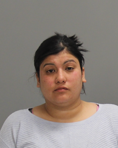 TREVINO, ASHLEY MARIE booking photo