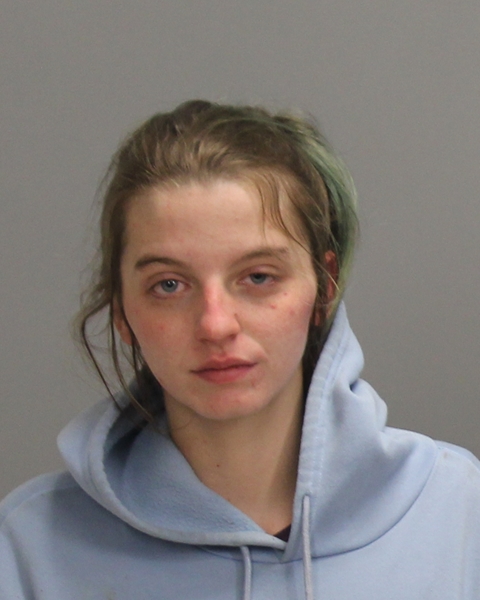 HOLLOWELL, FREEDOM CAMILLE arrested by Brazos County Sheriff’s Office