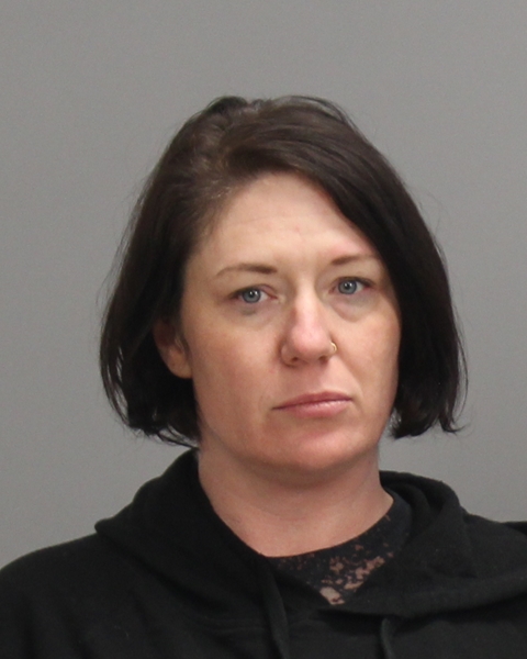 WILSON, CHRISTINA JOAN booking photo