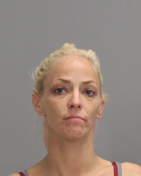 WELLS, CASSANDRA NICOLE arrested by Department of Public Safety