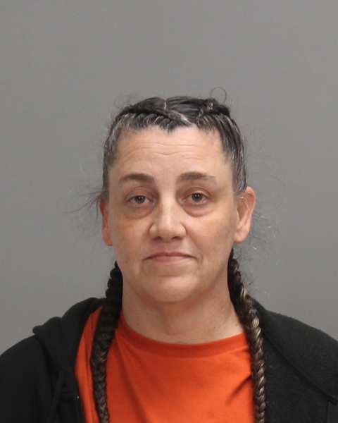HEBB, PAULA CHRISTINE booking photo