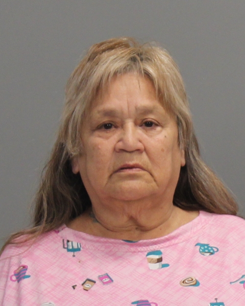 VILLARREAL, DIANA DELEON arrested by Bryan Police Department