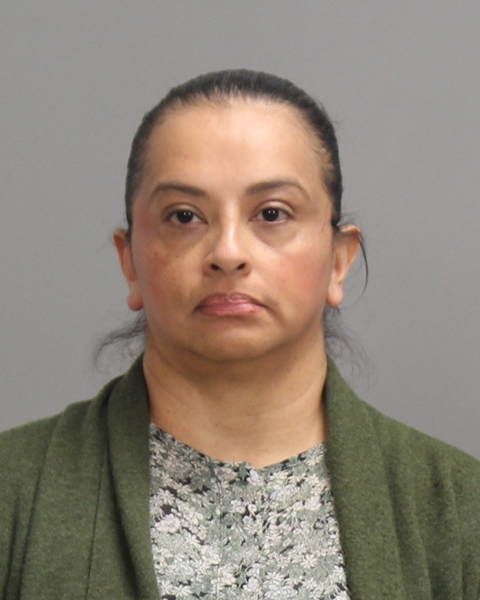 NOVOA, INGRID LIZETTE booking photo