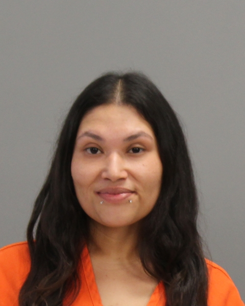 SUSTAITA, DEVIN TAYLOR arrested by Brazos County SO/PD