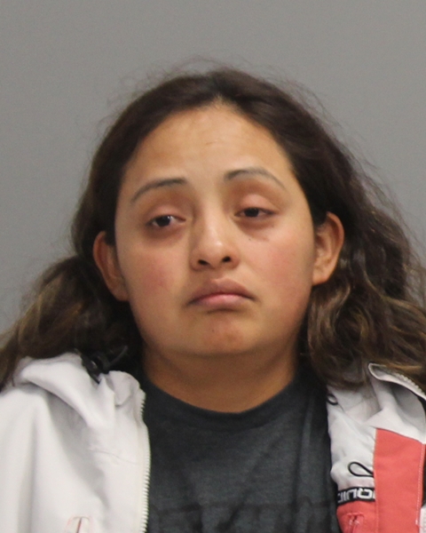 LOPEZ JIMENEZ, IXCHEL CAROLINA booking photo
