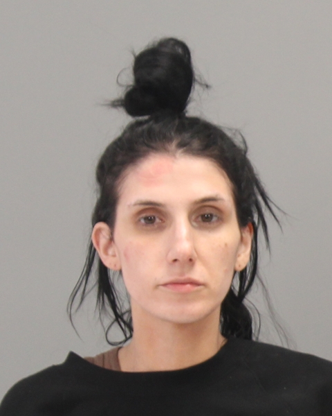 RICHARDSON, ASHLEY NICOLE booking photo