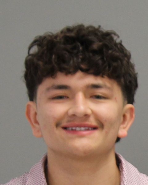 LAUREL, CHRISTIAN ANTHONY booking photo