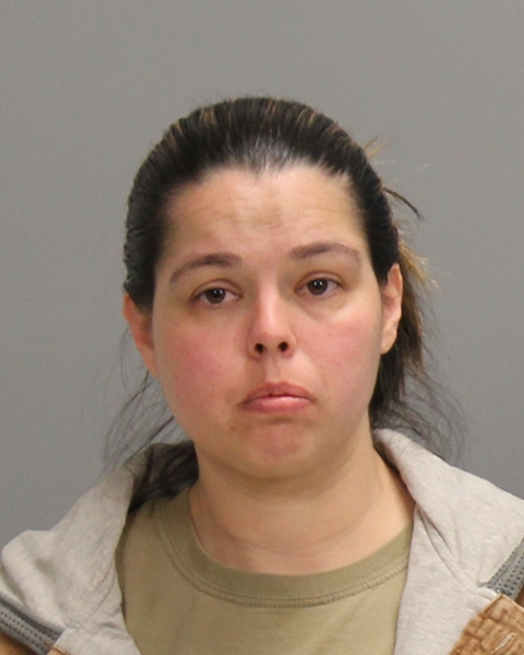 ANDERSON, MEAGAN LORRAINE booking photo