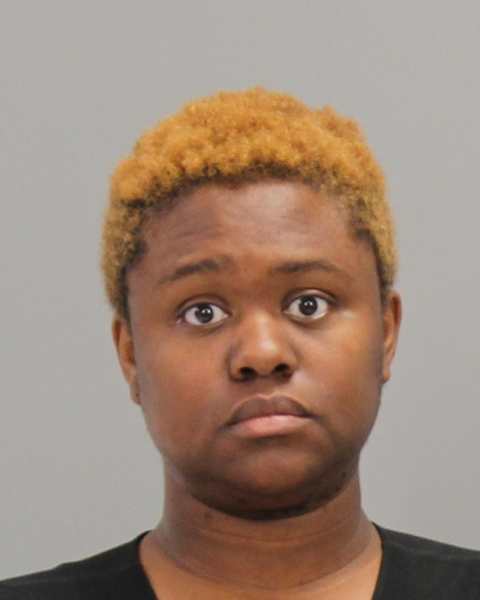 POWELL, CHRISTINA LASHAWN booking photo