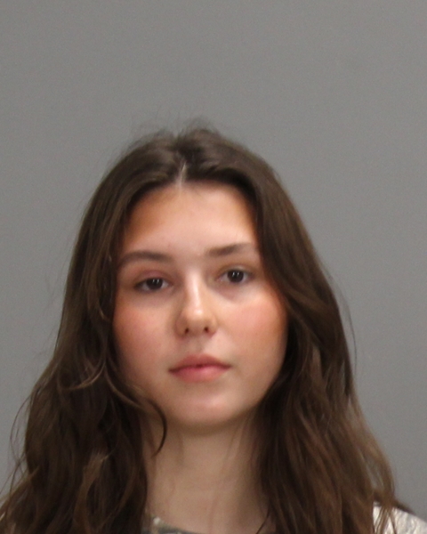 Wilson, Katheryn Anne booking photo