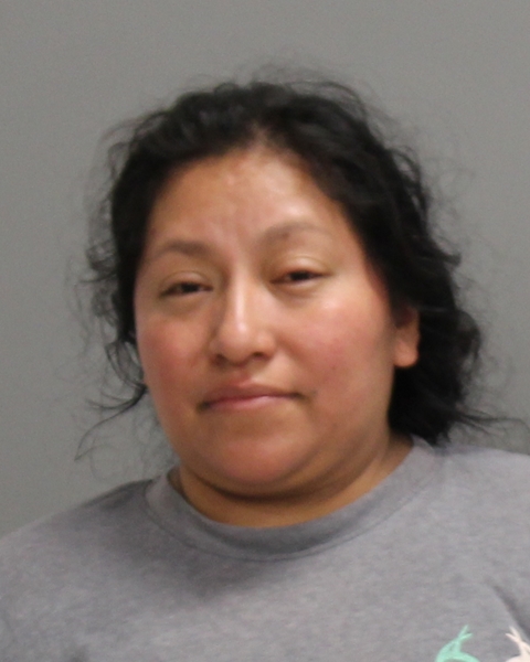 AJCHE CHALAN, SILVIA booking photo