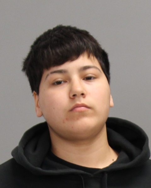 VELA, BRIANNA LEANN booking photo