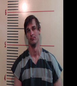 HALE, CODY SLATE booking photo