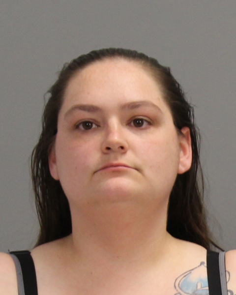 JOHNSON, WHITNEY DANIEL booking photo