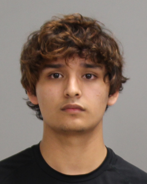 ARVIZO, AXEL ASHISH booking photo