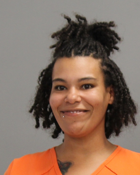 RAY, DONNA NICOLE booking photo