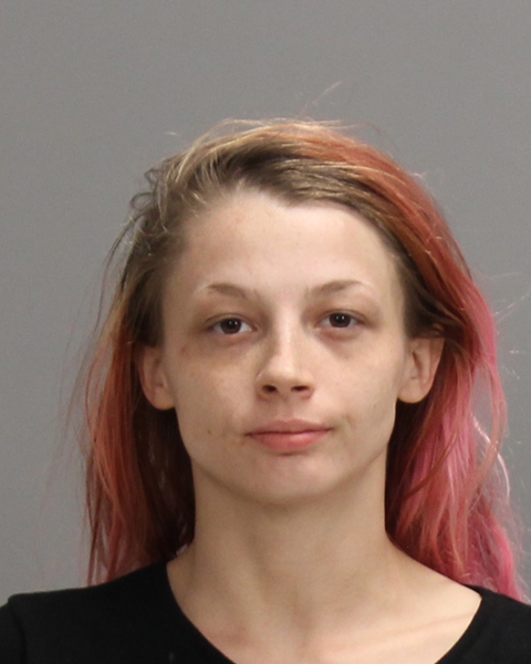 ROBINSON, BRITTNEY KAY booking photo