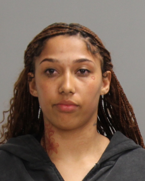 FLEMING, YIERRA REBECCA booking photo