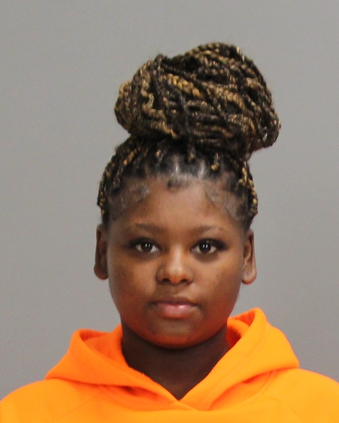 SANSON, CALVIONE LINDA arrested by College Station Police Department