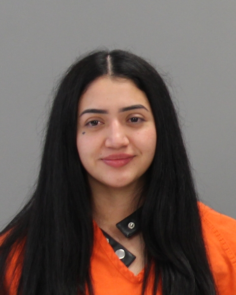 LOPEZ ACOSTA, ALMA LORENA arrested by Brazos County SO/PD