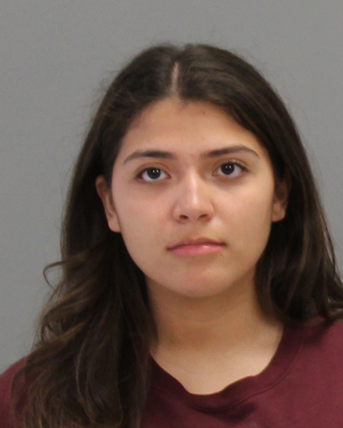 Samadi Holguin, Roxana arrested by College Station Police Department