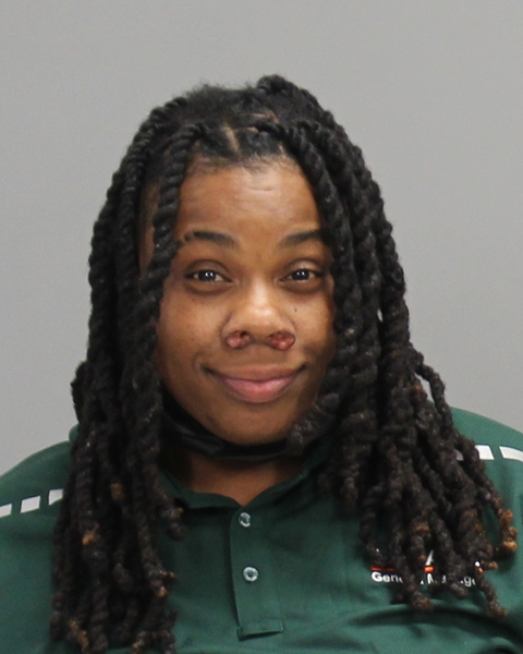 PALMER, CONSOLO BIANCA booking photo